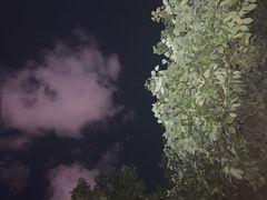 -Pasha帕夏土耳其餐厅(南昌路店)