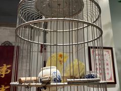 -海碗居老北京炸酱面(增光路店)
