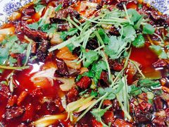 -柏合黄记豆腐皮饭店
