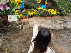 -沂蒙山旅游区云蒙景区(蒙山国家森林公园)
