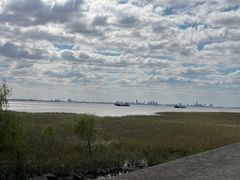 -上海长兴岛郊野公园