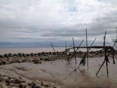 iphone_upload_pic-南汇嘴观海公园