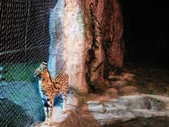 -杭州野生动物世界