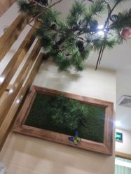 -芳朵美容养生SPA