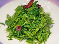 -乾园.魏庐湖景餐厅(花港店)