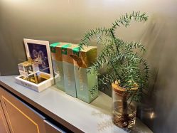 -栖SPA·ONDA ·海菲秀·皑皑科技美肤中心