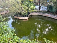 -深圳野生动物园