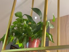 -刘一锅筋头巴脑(千峰路店)