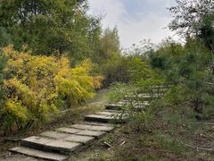 -绥化市森林植物园