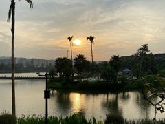 -枫香湖儿童公园