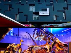 -广东省博物馆