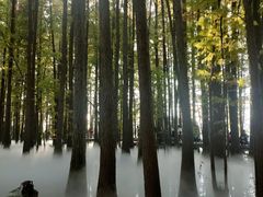 -东湖落雁景区