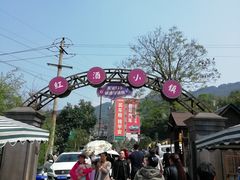 -美心红酒小镇游乐园