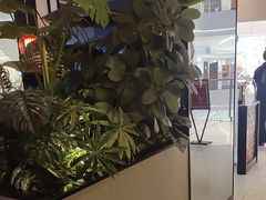 -辛香汇·现炒川菜(城北万象城店)