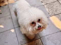 -默迹咖啡馆