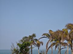 -汕尾风车岛