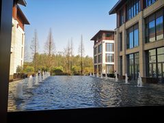 -黄海国家森林公园