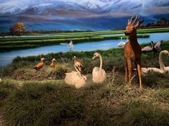 -中国湿地博物馆