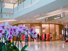 -爱马仕 HERMES(上海ifc商场店)