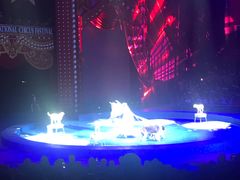 -珠海横琴长隆《卡卡虎奇遇记》