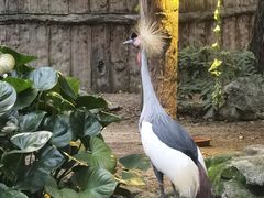 -清迈夜间动物园