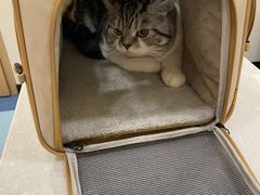 -萌兽医馆·犬猫专科·眼科中心·宠物医院(朝阳门分院)