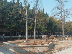 -苏州文庙(姑苏区)