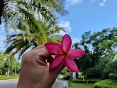 -珠海海泉湾神秘岛亲子乐园