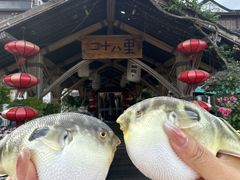 -二十八里太湖船菜(吉祥路店)