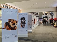 -盛京大奥莱(沈阳奥体店)