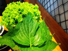 苏子叶-四斤烤肉(东戴河孟家店)