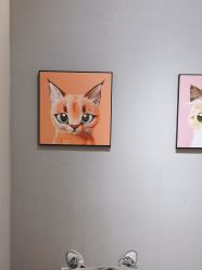 点击看大图 -洗脸猫·洗脸吧