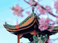 -宝墨园景区