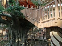 -南宫五洲植物乐园