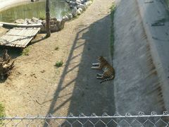 -石家庄市动物园