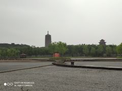 -永定河休闲森林公园