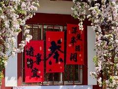 -洛阳市隋唐城遗址植物园