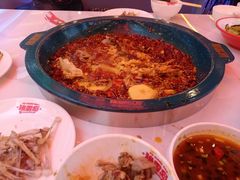 -渔香岛美蛙鱼头火锅(黔灵山公园店)