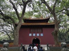 -普陀山风景名胜区-法雨禅寺