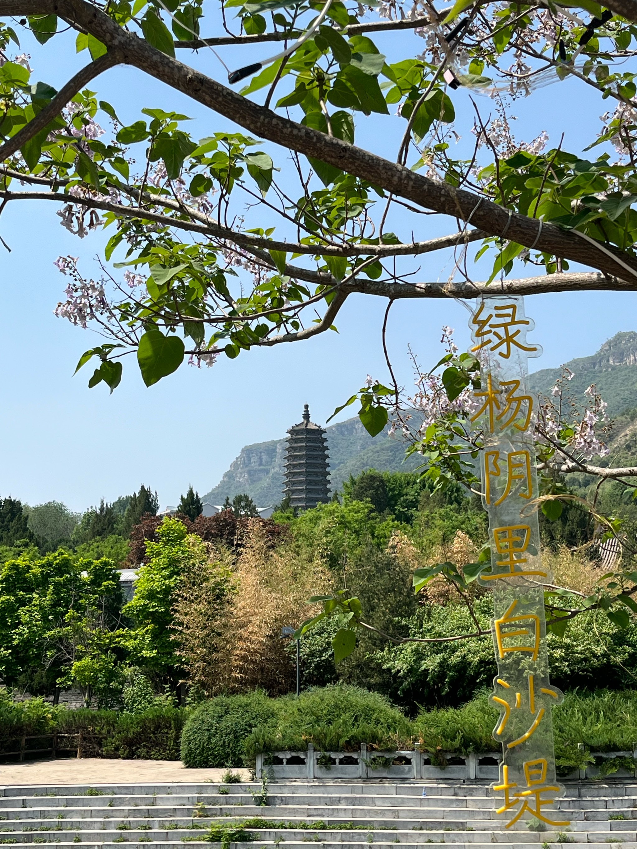 云居寺门票图片