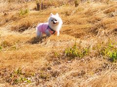 -花溪风景区