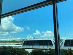 -樟宜机场免税店