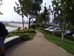 -合肥滨湖国家森林公园