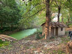 -昆山城市生态森林公园