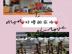 -前小桔亲子创意农场·草莓采摘·露营烧烤
