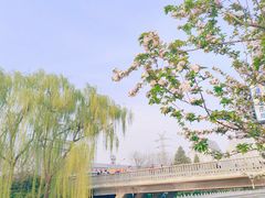 -海棠花溪(元大都城垣遗址公园)