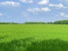 -嘉北郊野公园