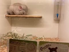 -龙猫仔乐园(惠福东路店)