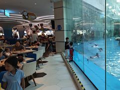 -帝企鹅自助餐厅•儿童岛•真企鹅(长隆企鹅酒店)