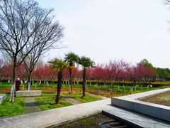 -白塘生态植物园